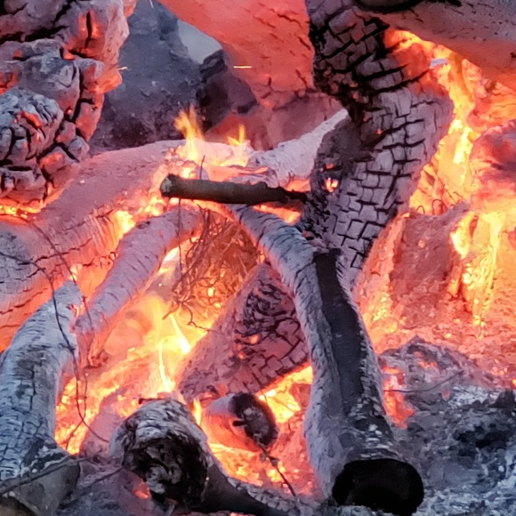 Meet your Posher, Miriam - Picture 1 of 1